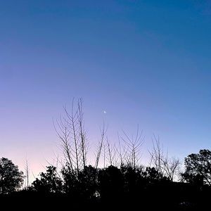 Meet your Posher, Meg